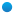 Radial button